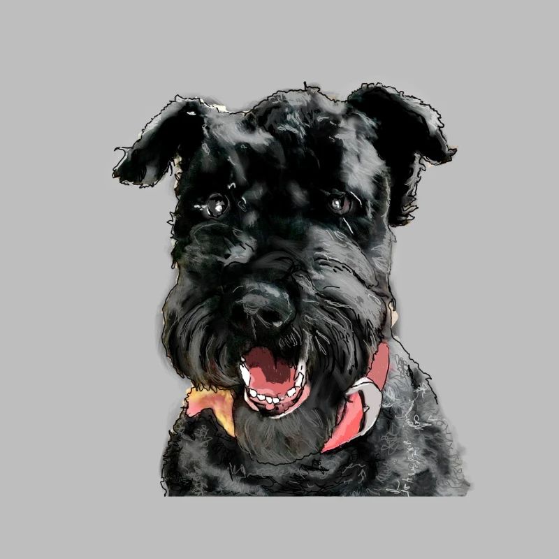 Kerry Blue Terrier