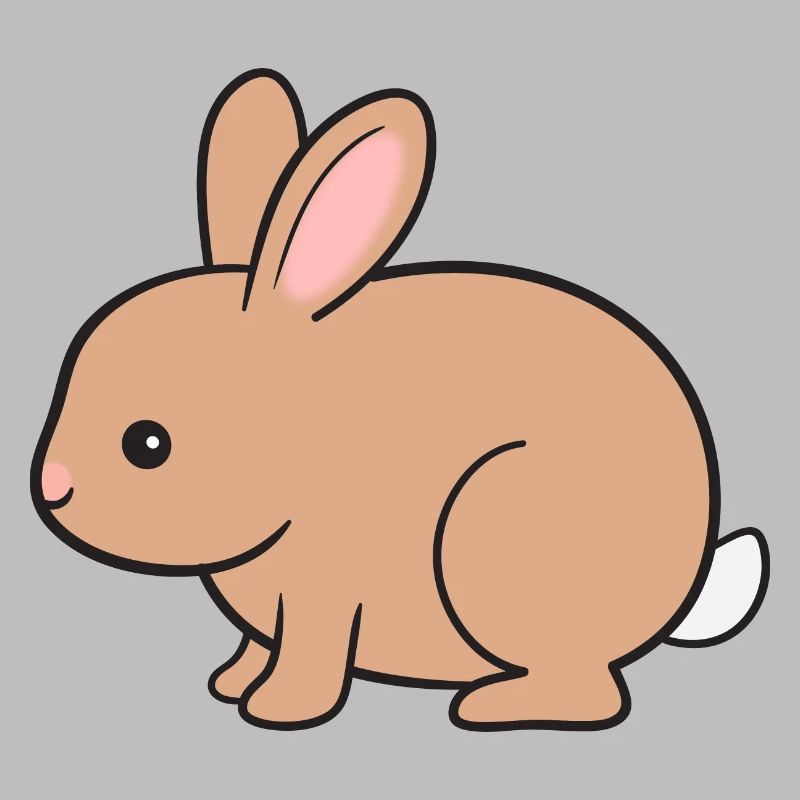 Lapin Lapin