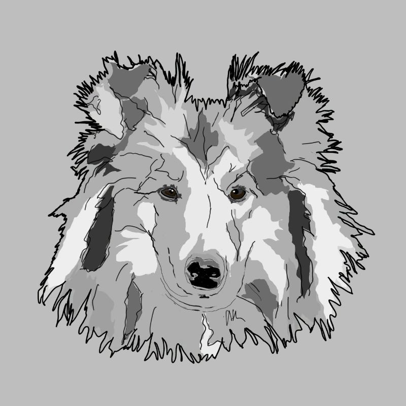 Collie