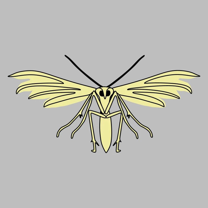 Feather moth
