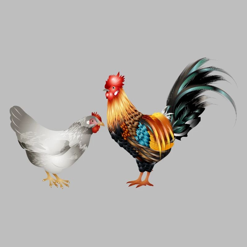stately colourful rooster with a hen