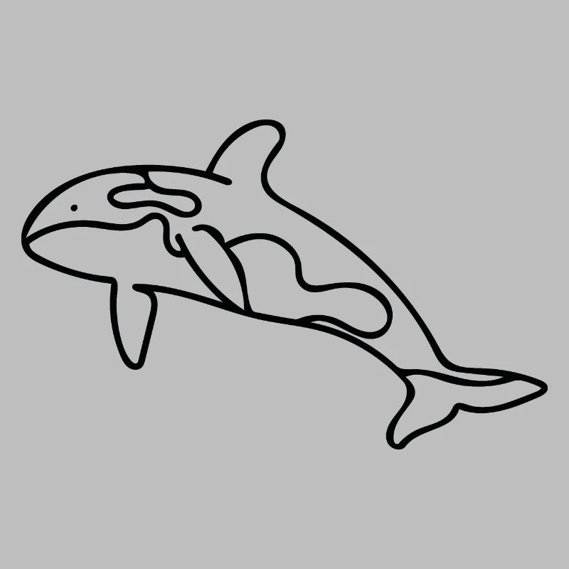 Killerwal - Orca