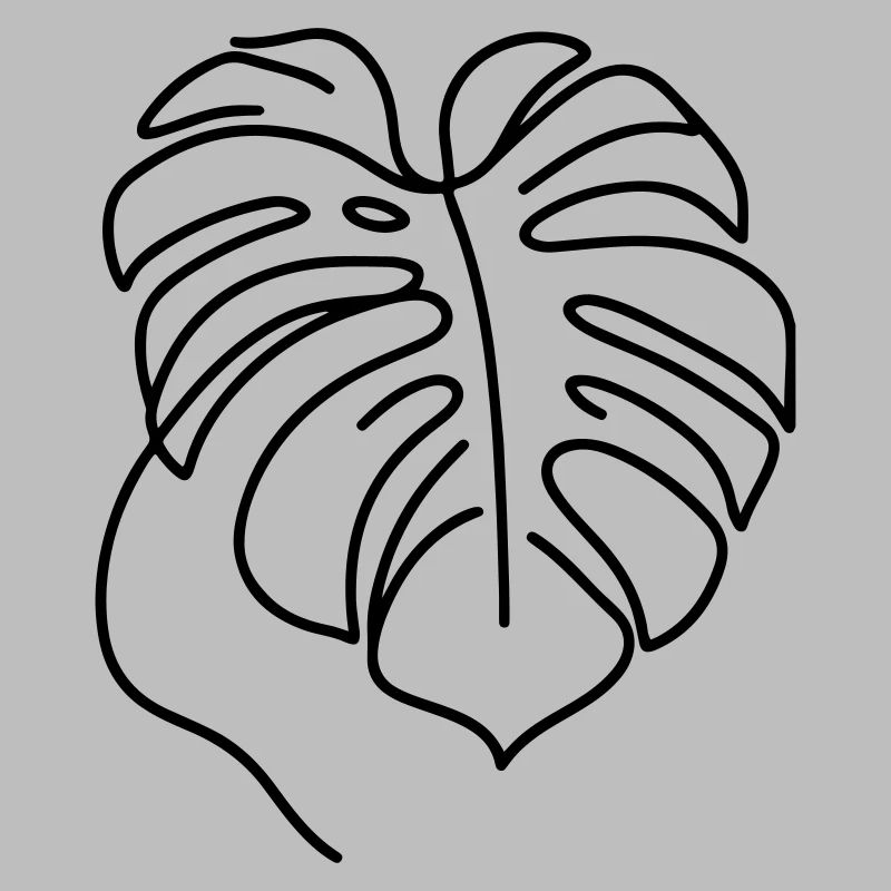 Monstera