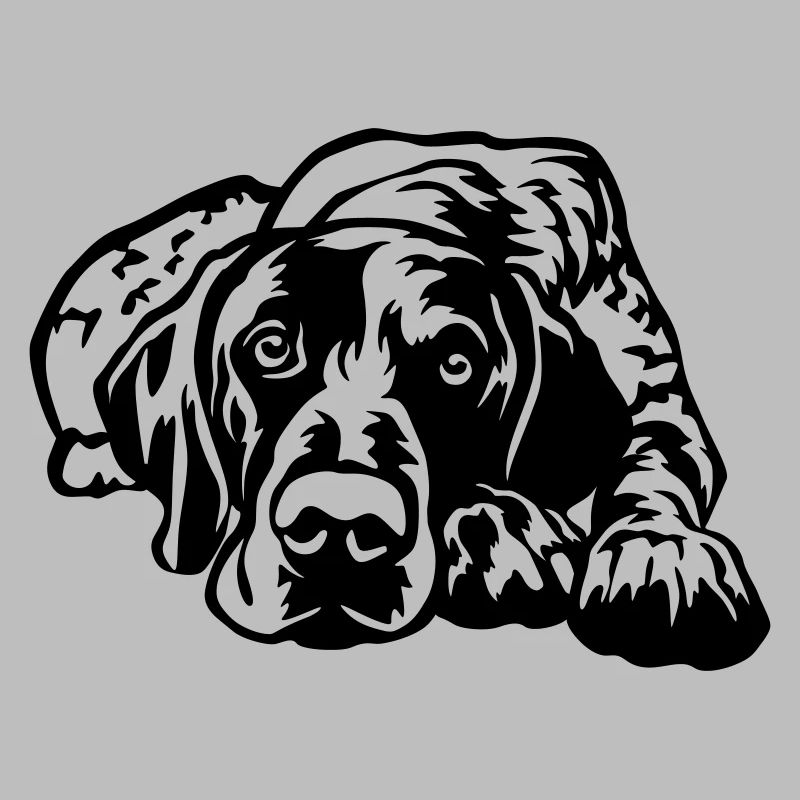 German Shorthaired Pointer