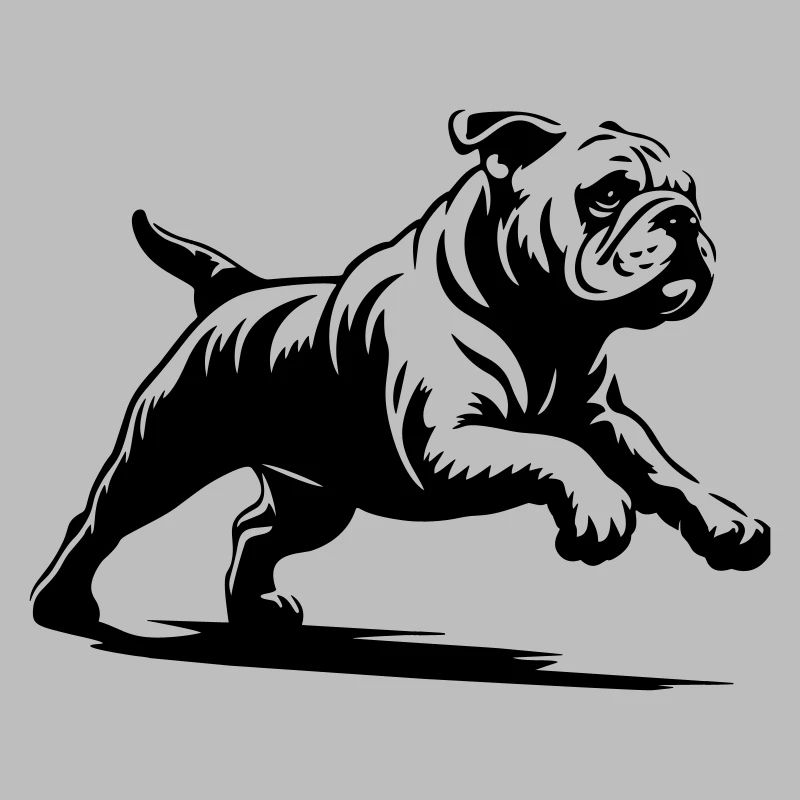 Bouledogue anglais