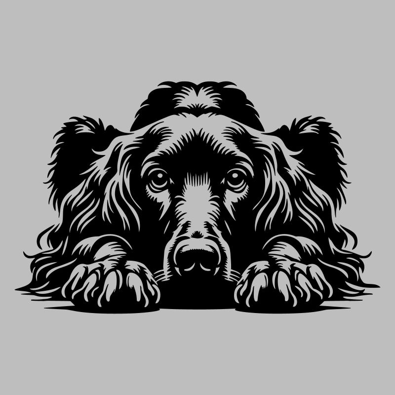 Irish Setter Head with Paws