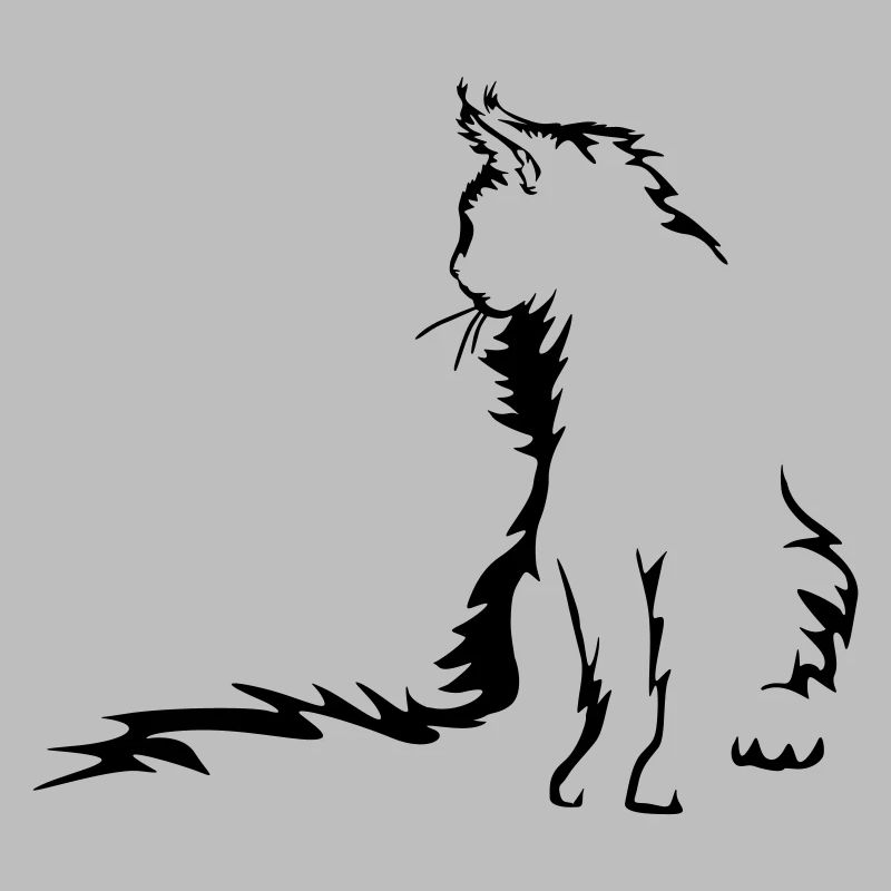 Chat Maine Coon
