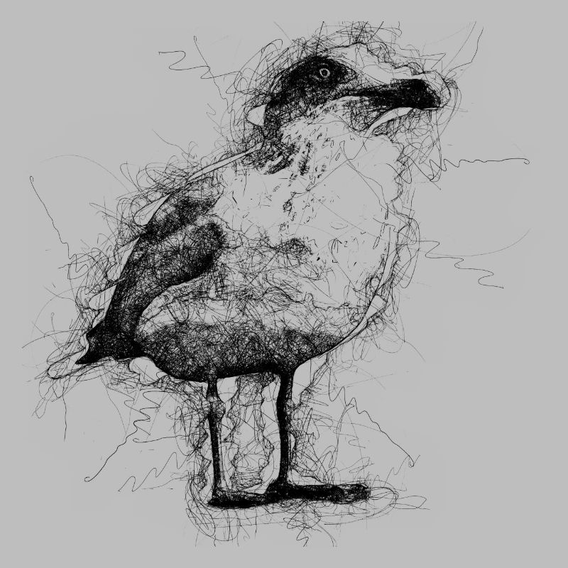 Möwe