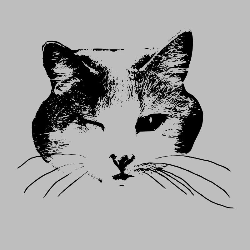Kitty wink