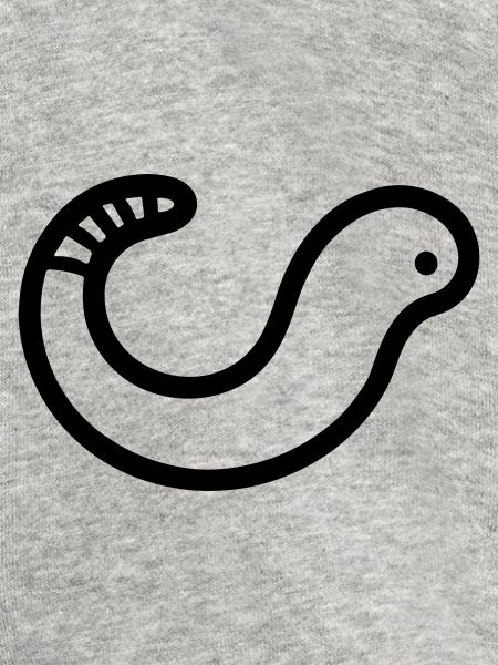 Regenwurm