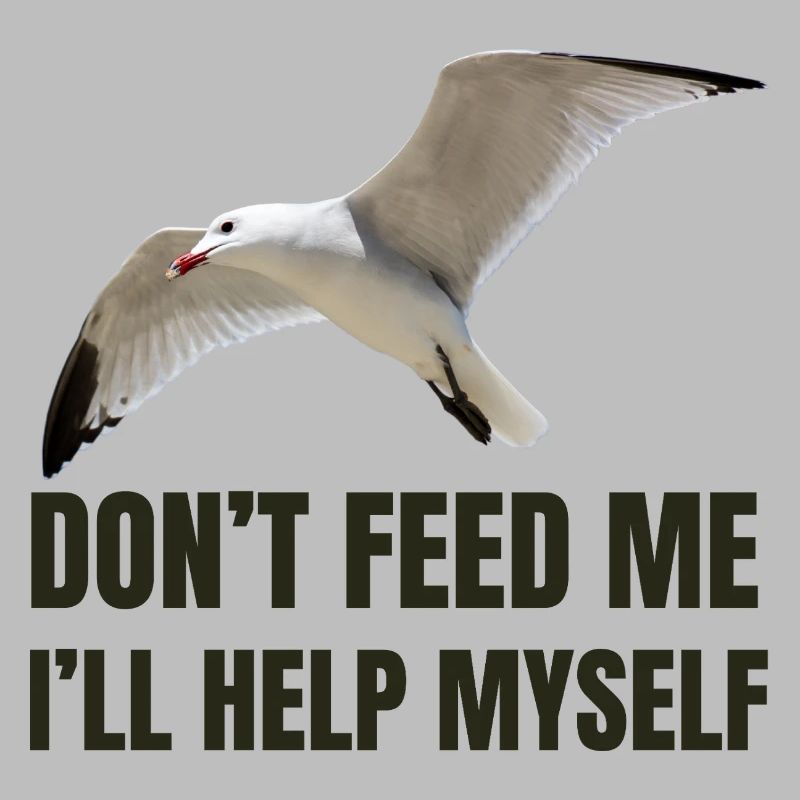 Seagull with Bold Statement