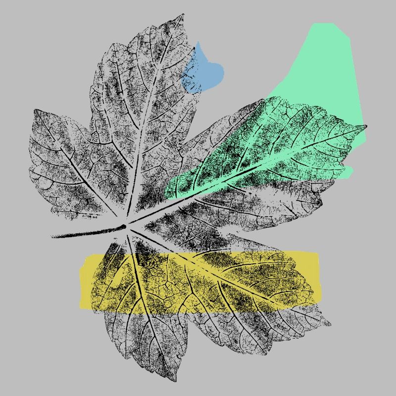 Leaf Maple - Abstrake Art
