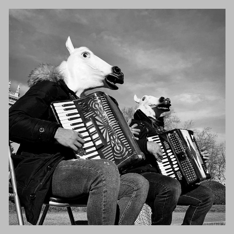 Bande de chevaux