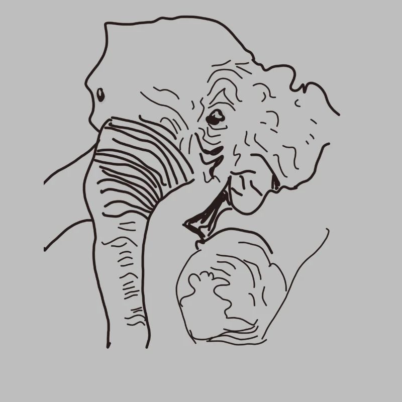 Elephant found Thailand