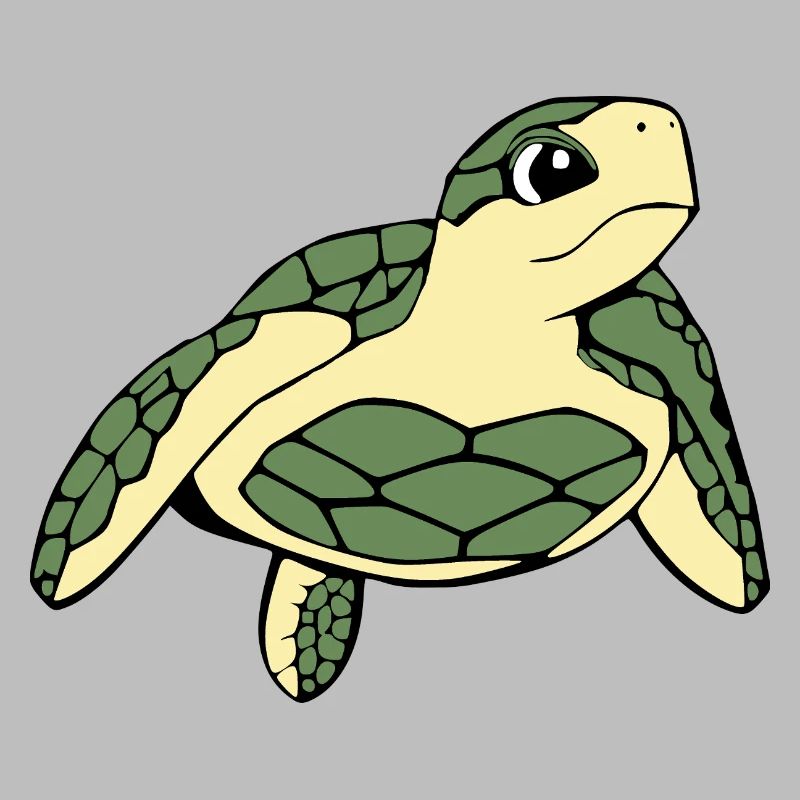 Turtle Turtles