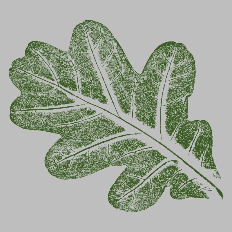 Feuille de chêne