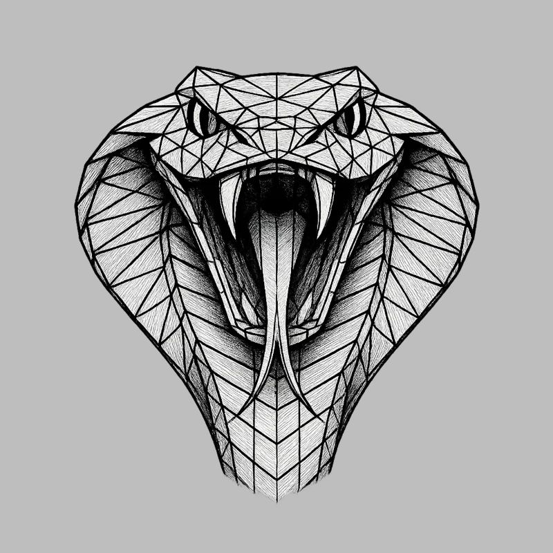Geometric Cobra Head