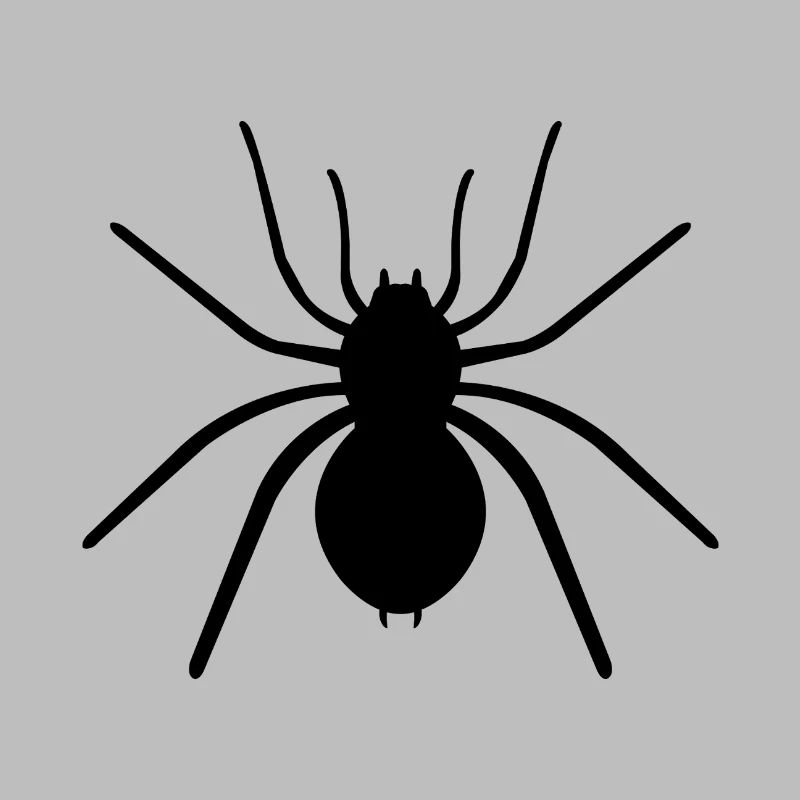 araignée