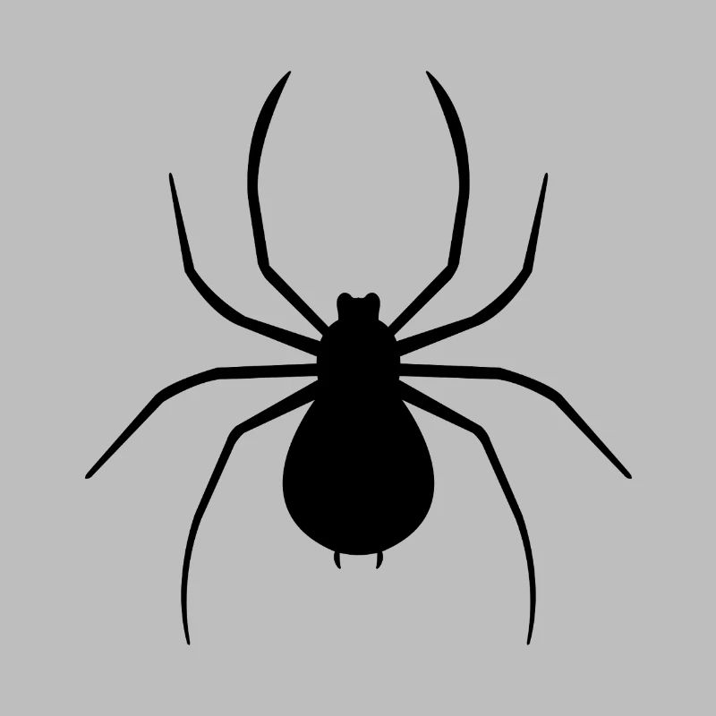 Spinne