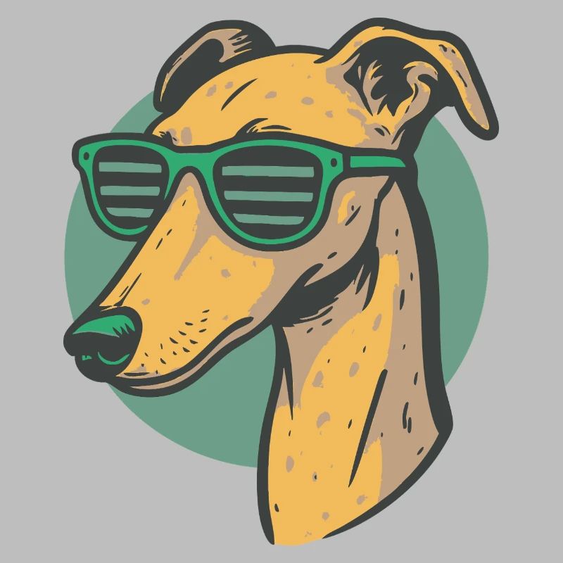 Lévrier, Galgo