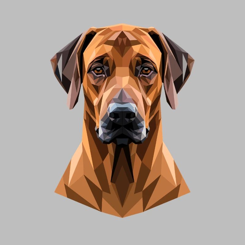 Rhodesian Ridgeback Jagdhund Hunde Stolz Ridgeback