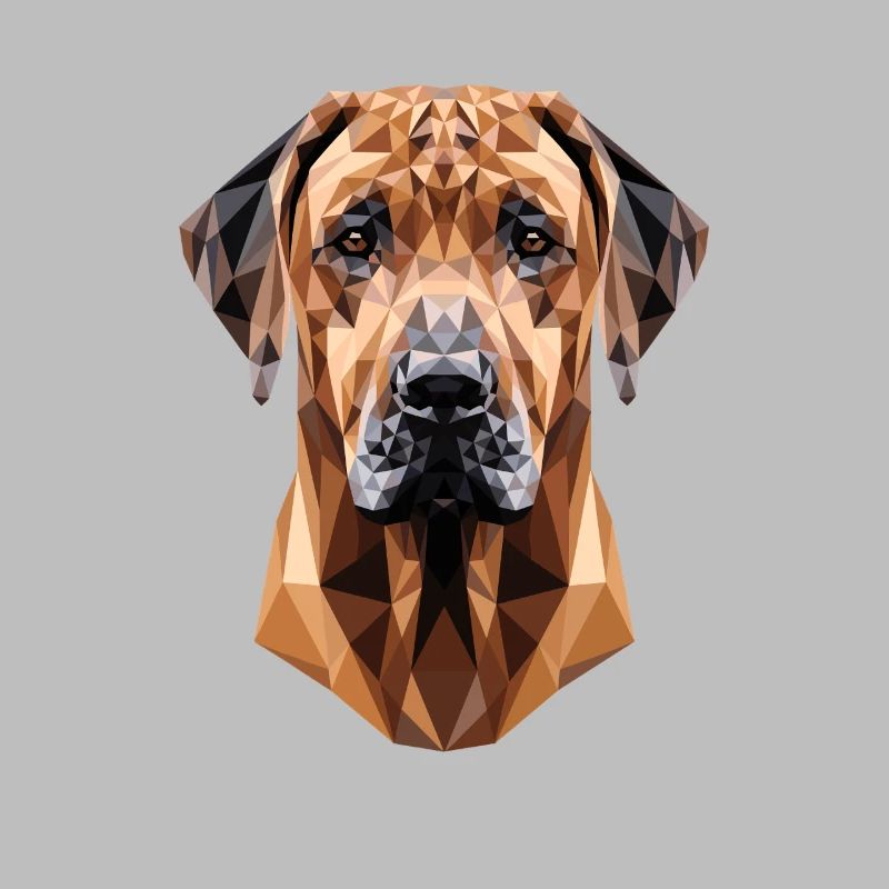 Rhodesian Ridgeback Jagdhund Hunde Stolz Ridgeback