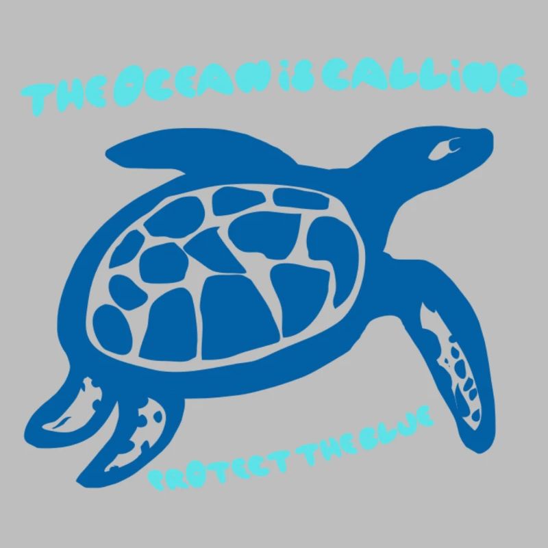 Conception de la Tortue Sea Call
