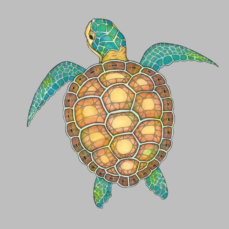 Sea Turtle Hand Drawn