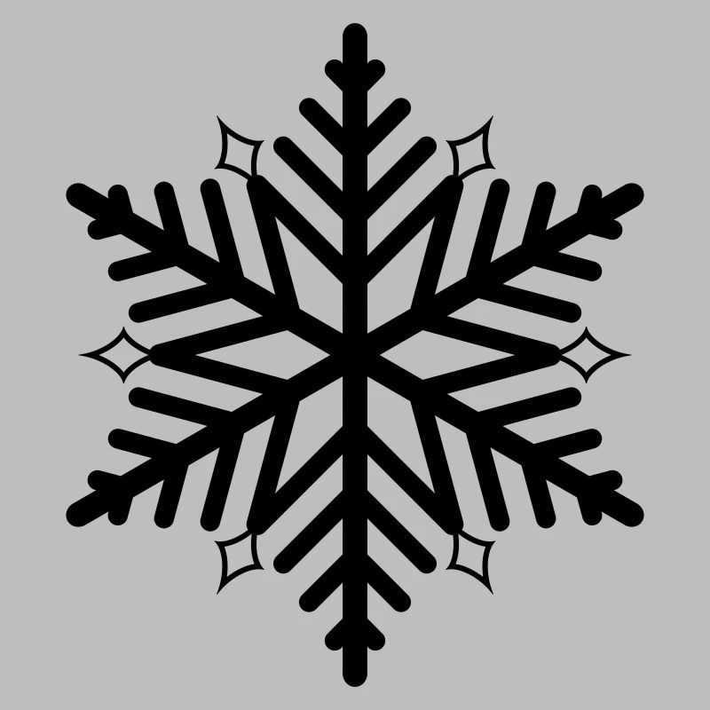 Flocon de neige flocon de neige