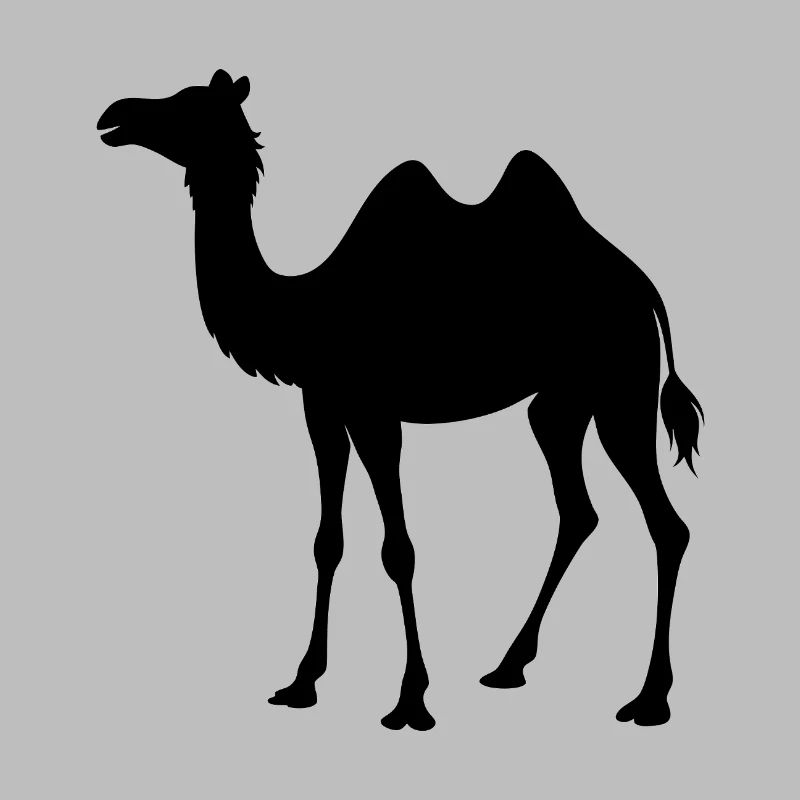 Camel