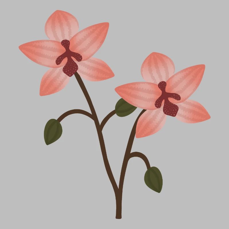Fleur d’orchidée pastel