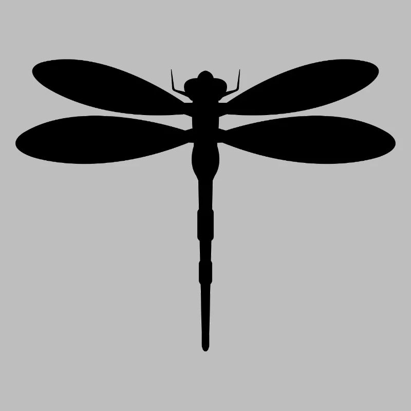 Libellule
