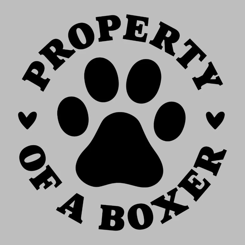 Eigentum eines Boxers