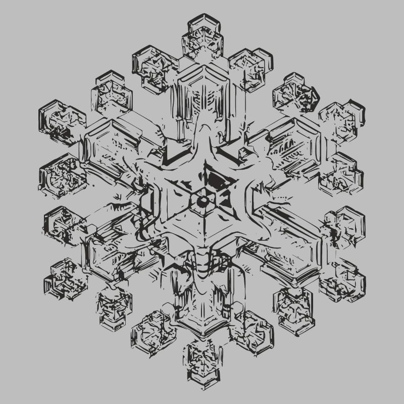 snowflake 9 black