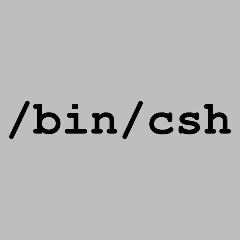 Interpréteur C - /bin/csh