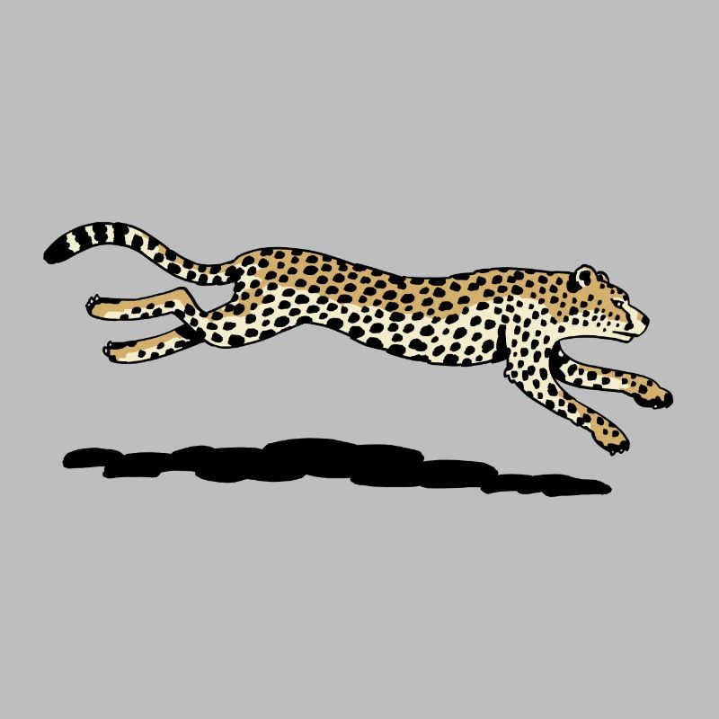 Gepard