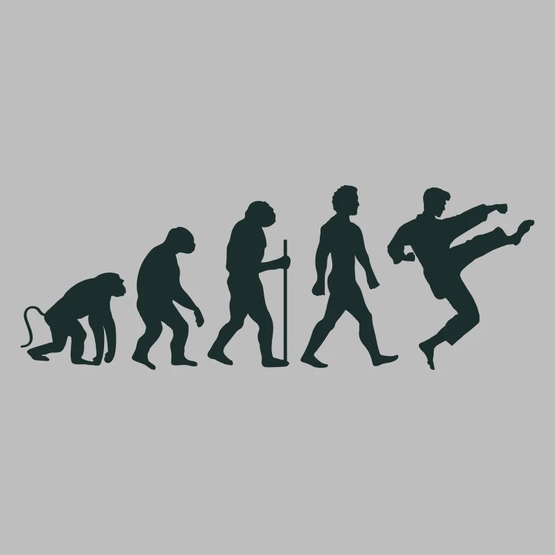 Karate Evolution