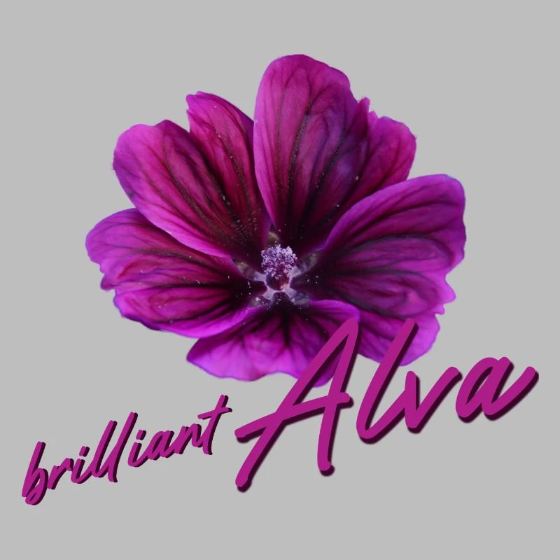 Alva Geburtstag Alva