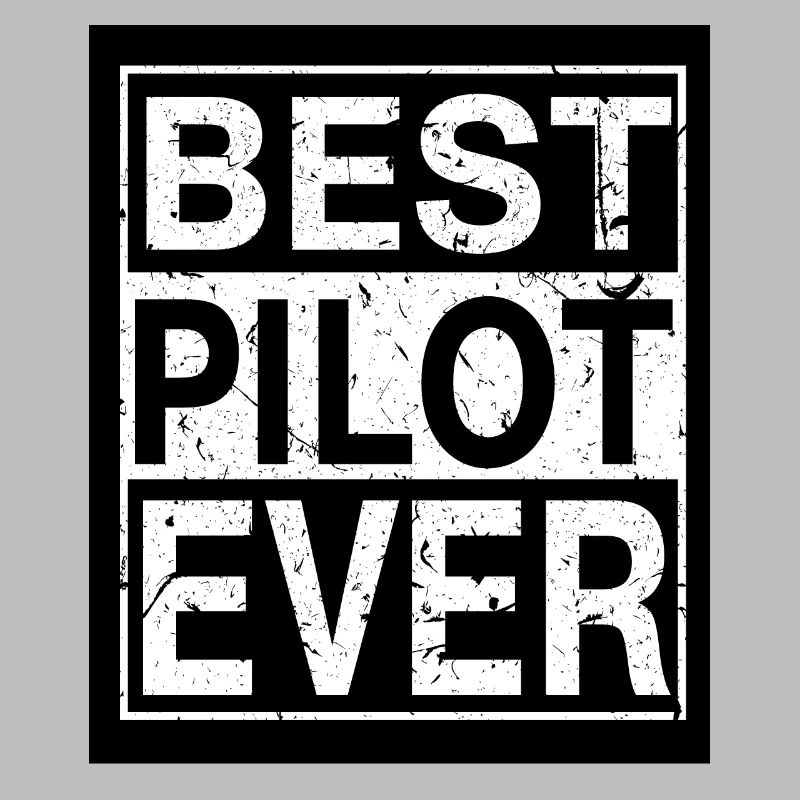 Pilot Bester Pilot