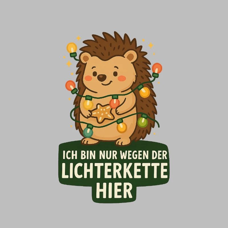 Igel mit Lichterkette