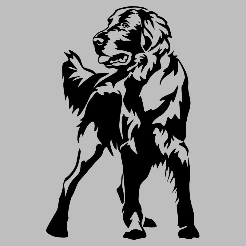 Flat-coated retriever