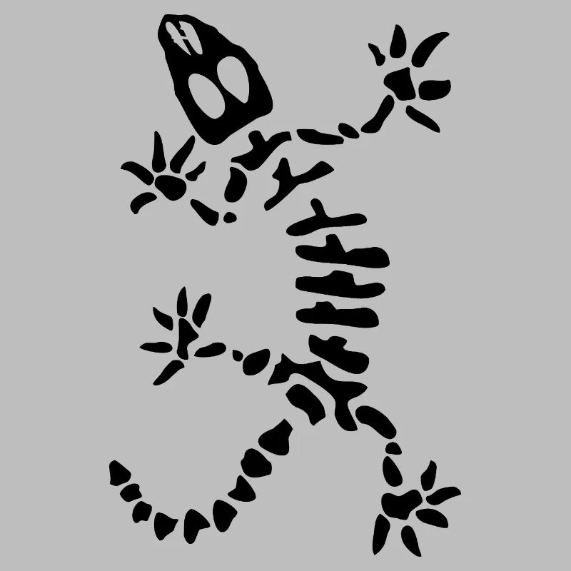 Gecko Skeleton: Lizard, Reptile & Bones