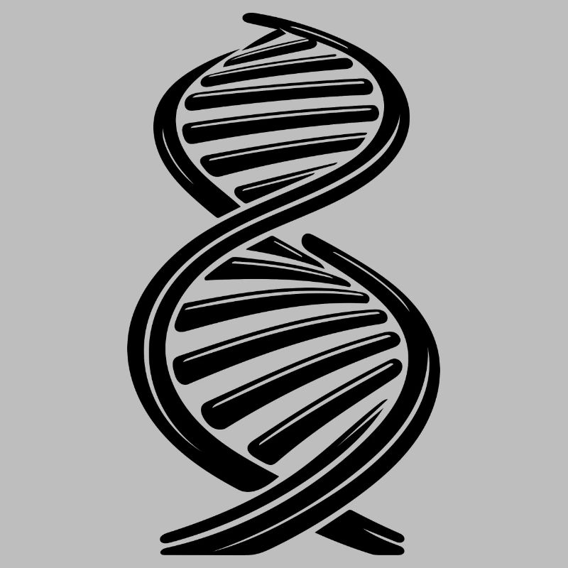 DNA strand nucleotide chain two single strands