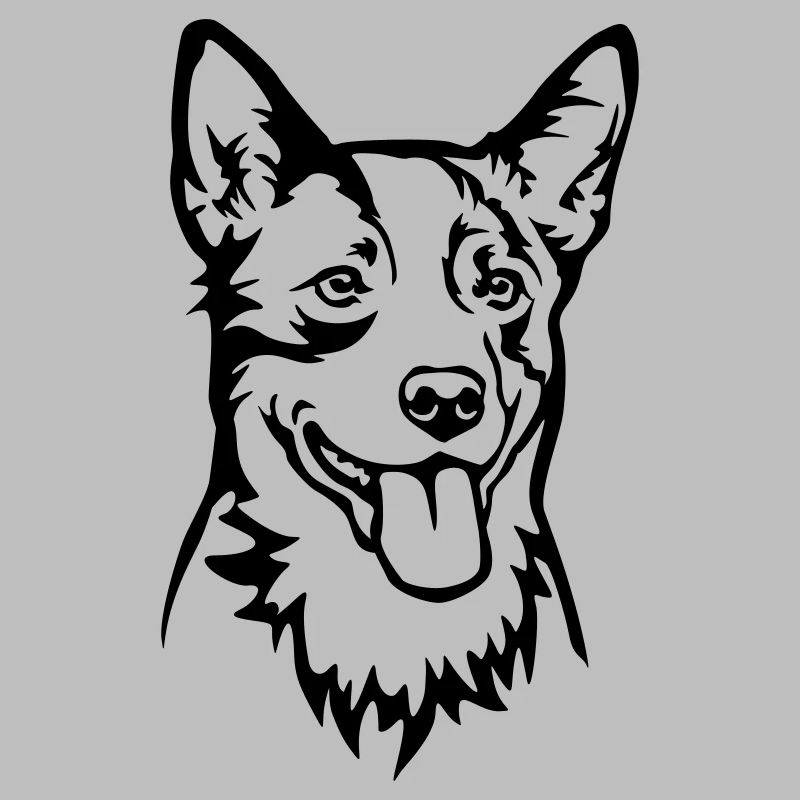 Australian Cattle Dog Head