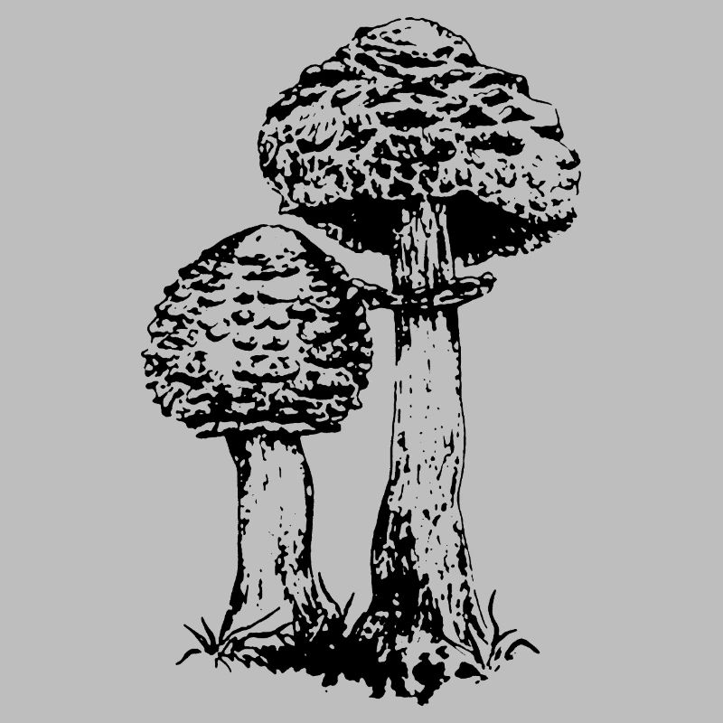 ACCUMULATEUR CHAMPIGNON