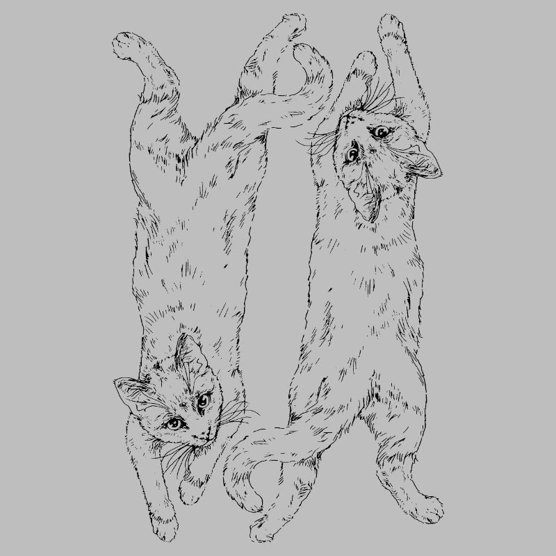 Chats