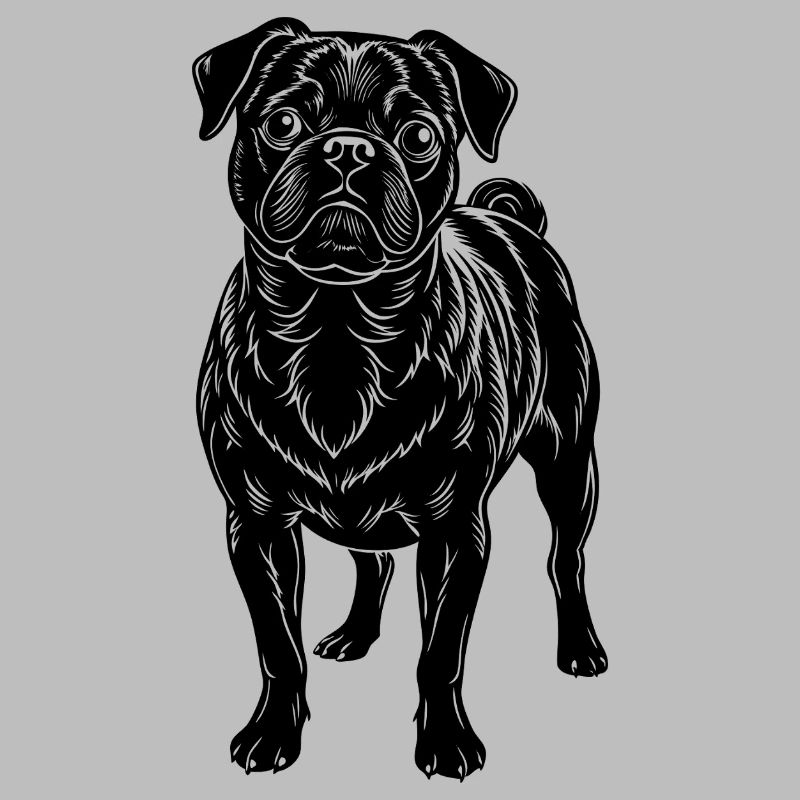 Pug
