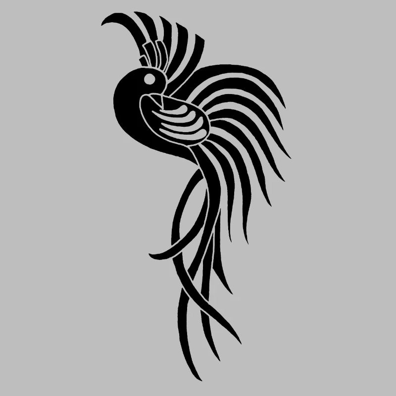 Oiseau du paradis noir