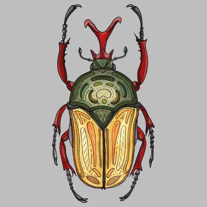 Big Stag - Coléoptère cerf géant