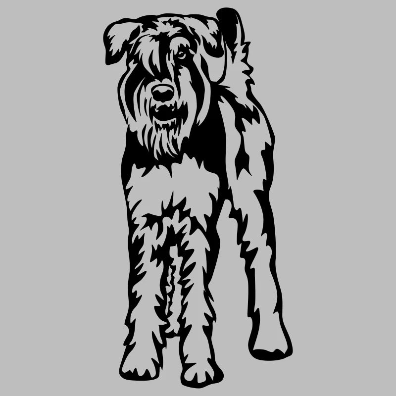 Schnauzer géant